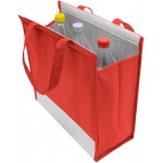 Bolsa Térmico  "Alumi" (BO62)